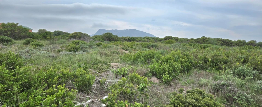 0 Bedroom Property for Sale in Kleinbaai Western Cape